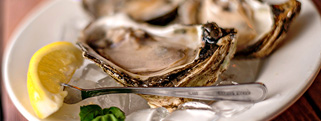 Oysters on the Half Shell - Denton, Texas